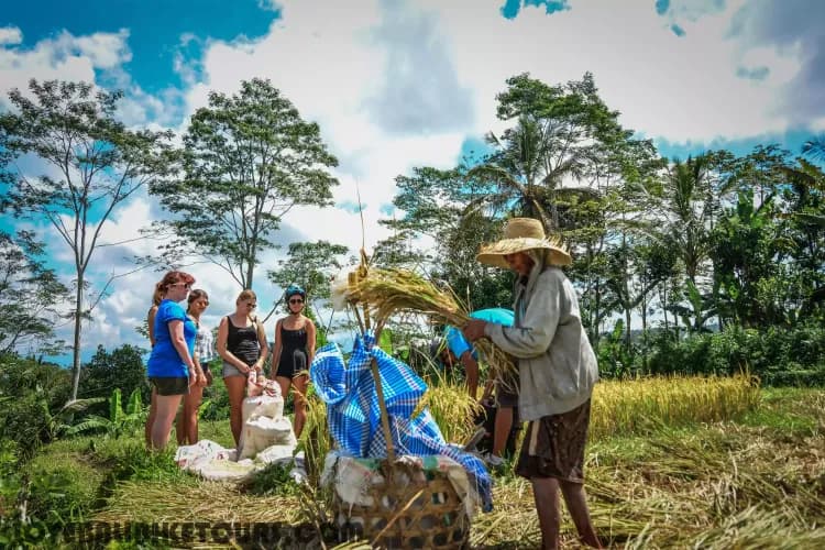 Bali Countryside Bike Tour - Image 12