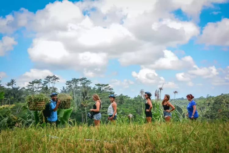 Bali Countryside Bike Tour - Image 2