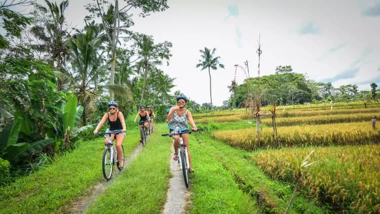 Bali Countryside Bike Tour - Image 10