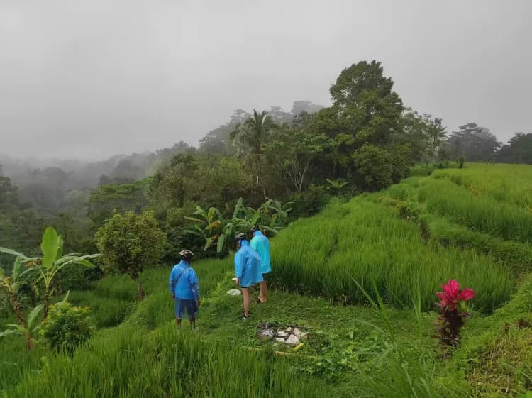 Bali Countryside Bike Tour - Image 4