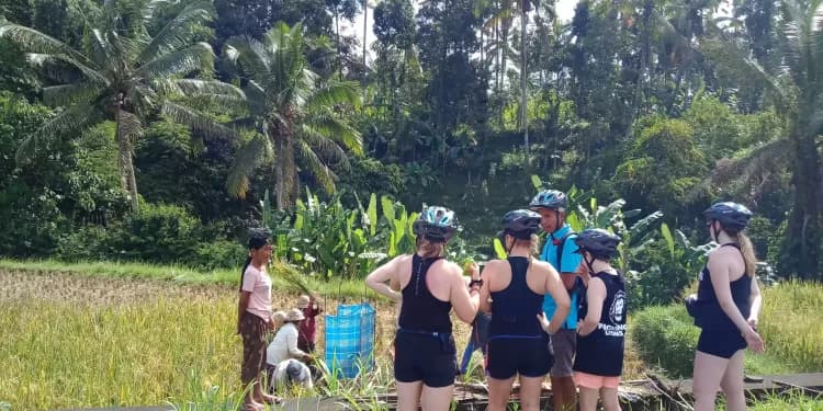 Bali Countryside Bike Tour - Image 5