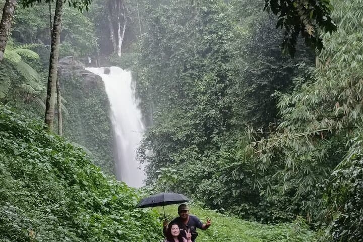 Jakarta Bogor Botanical Garden, Waterfall and Rice terrace, Lunch - Image 3