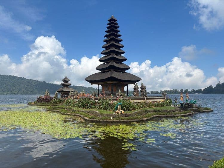 Tanah Lot and North Bali Tour: Scenic Journey - Image 6