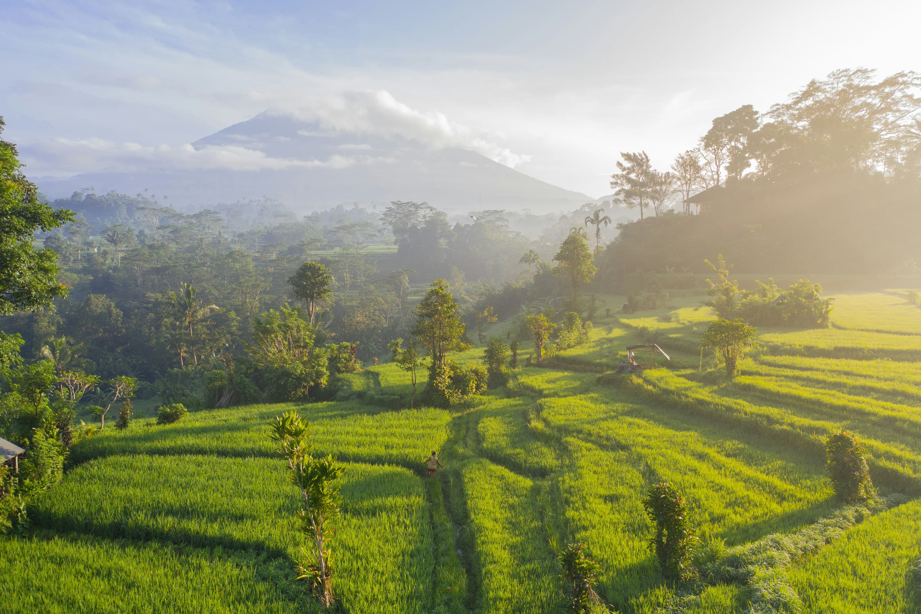 Bali Beyond Seminyak: 7 Places That Still Feel Like the Real Bali