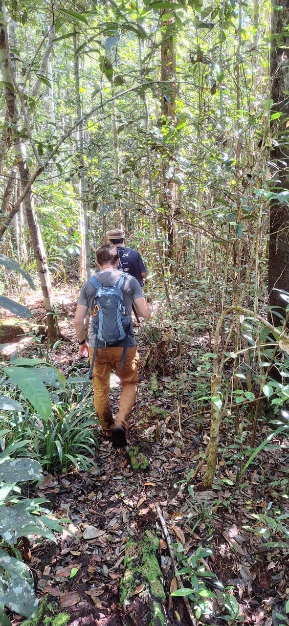 4D3N Orangutan Experience Tour - Image 2