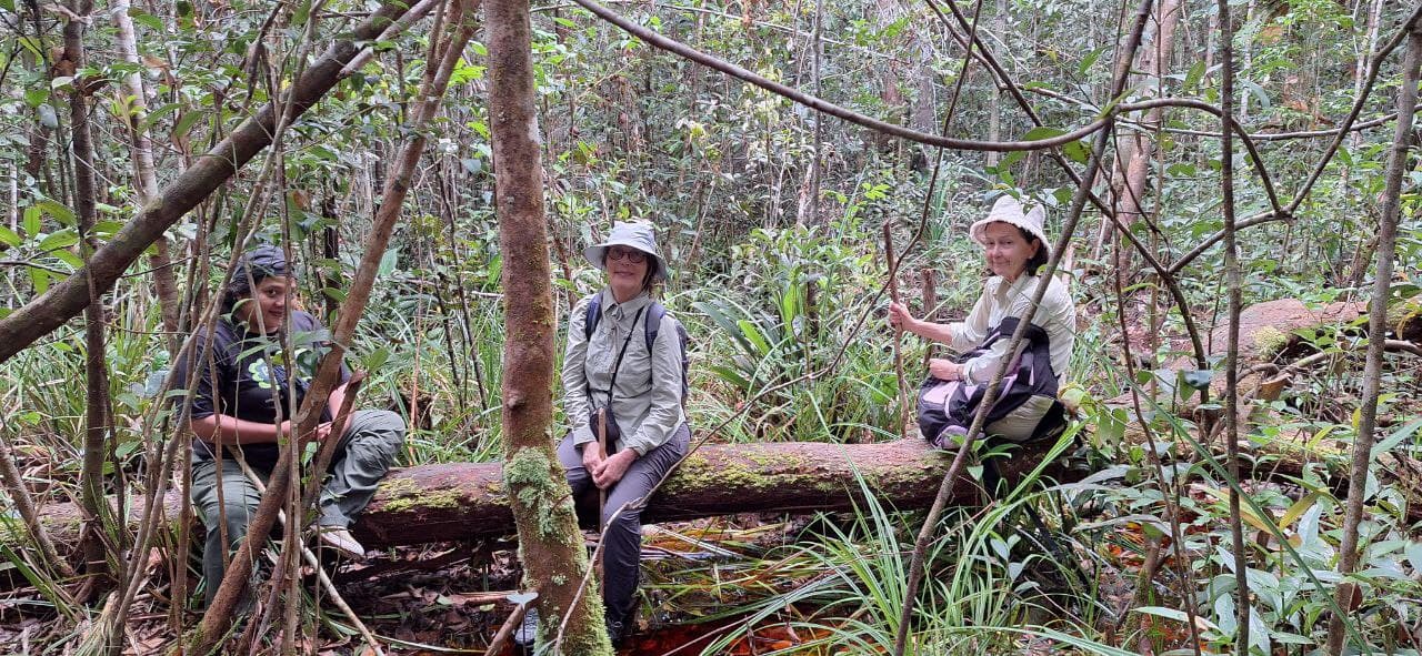 4D3N Orangutan Experience Tour - Image 5