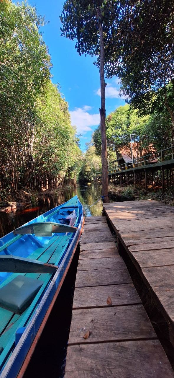 4D3N Orangutan Experience Tour - Image 7