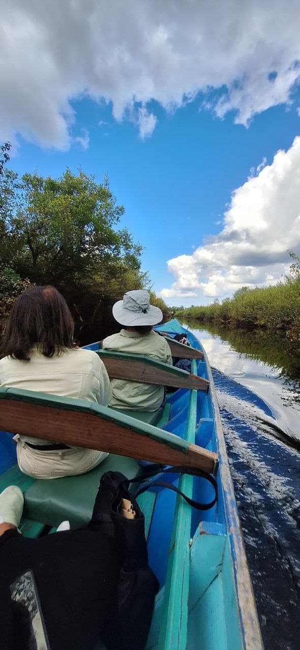 4D3N Orangutan Experience Tour - Image 9