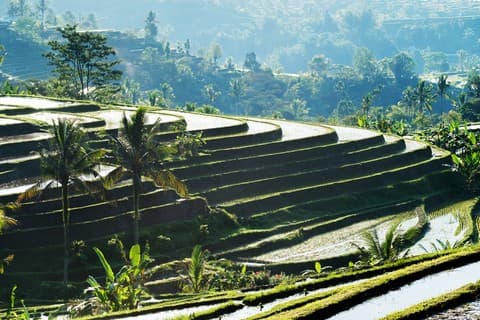 Bali Full Day Water Temples and UNESCO Rice Terraces Tour - Image 5