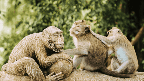 Private Full-Day Tour: Balinese Temples and Rice Terraces - Image 5