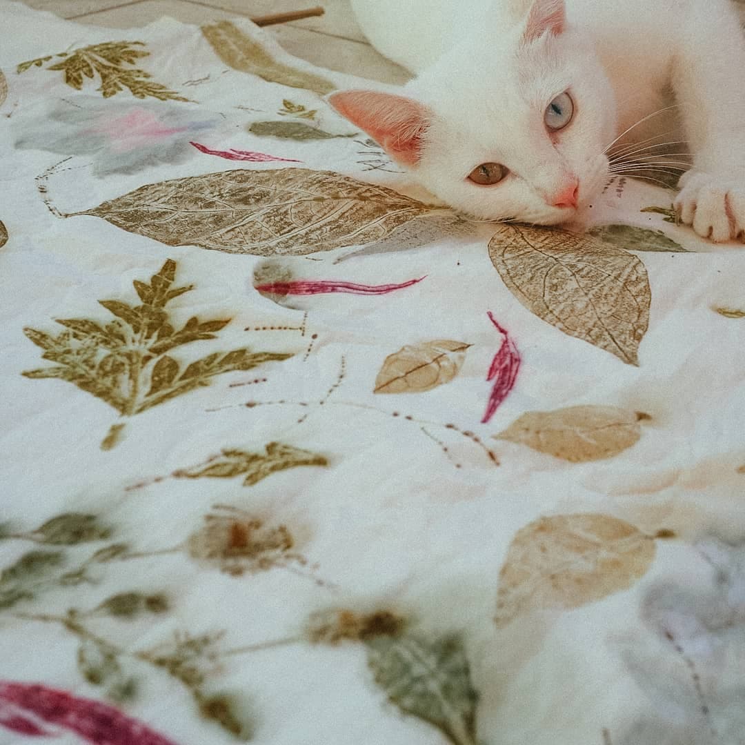 Intimate Natural Dyeing Experience in Yogyakarta - Main image