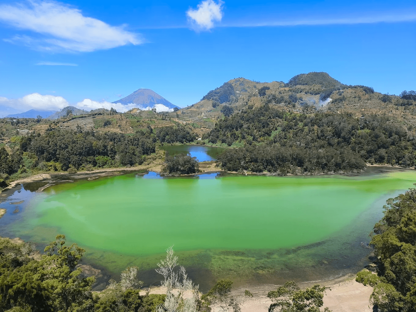 One Day Dieng Plateau & Borobudur Highlights Tour - Image 4