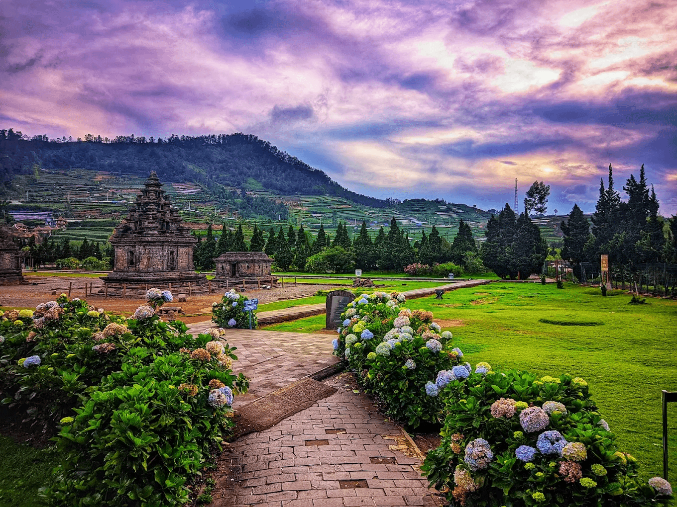 One Day Dieng Plateau & Borobudur Highlights Tour - Image 10