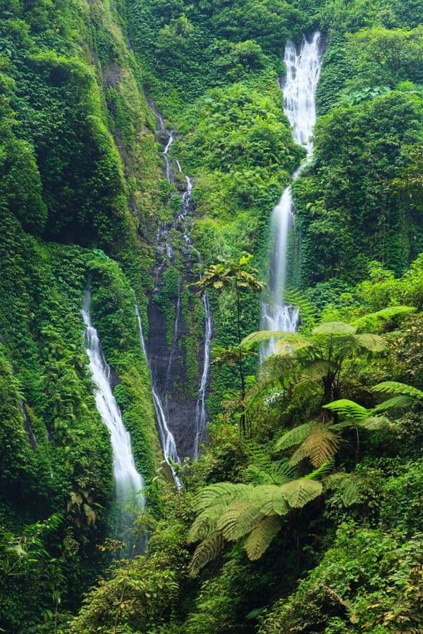 Malang–Bromo Sunrise–Ijen Crater Journey with Madakaripura or Tea Plantation (3D2N) - Main image