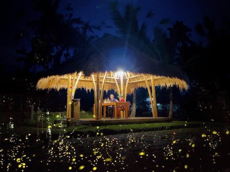 Firefly Night Tour & Balinese Cooking Experience at Organic Farm in Ubud - Main image