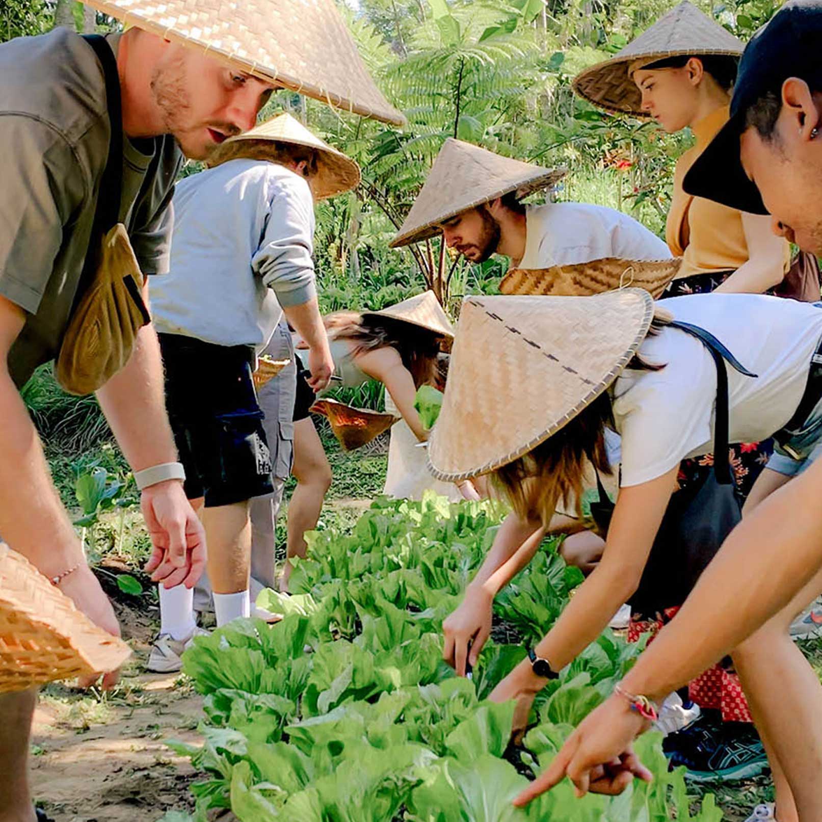 Private Bali Cooking Class with Private Guide and Shuttle in Ubud - Image 3