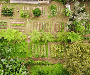 Cook & Stay Package with Balinese Village Experience in Ubud Bali - Image 2