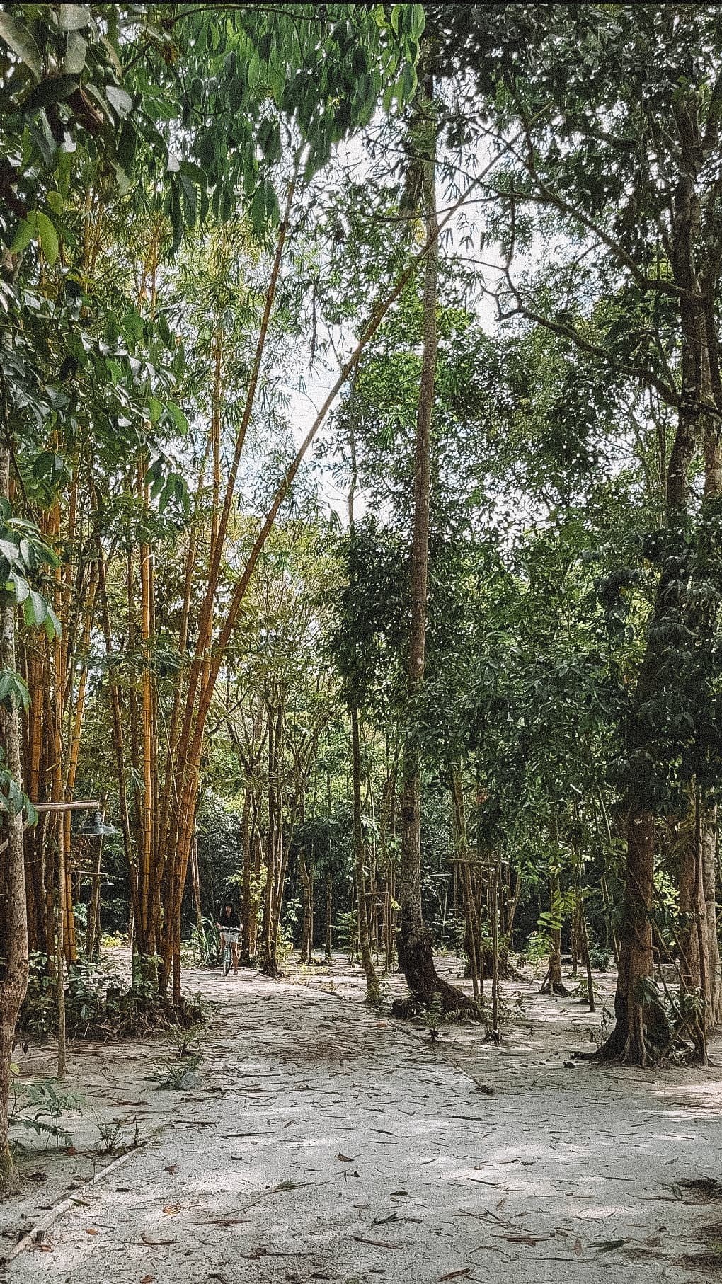 Belitung 3D2N Curated Escape: Sunset, Islands & Glamping Stay - Image 13