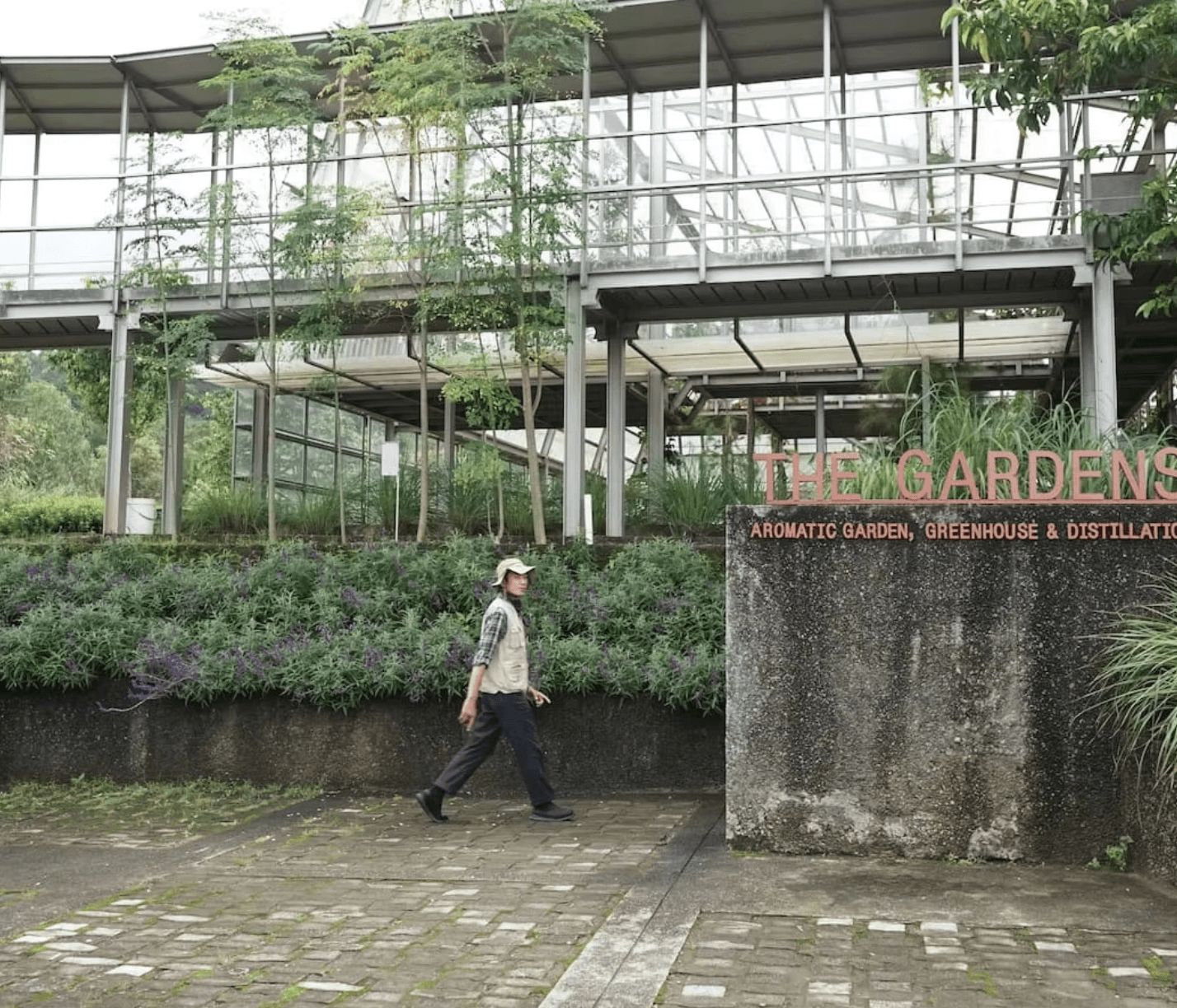 Ngramban Foraging and Wild Cooking Experience at Atsiri Jawa - Image 4
