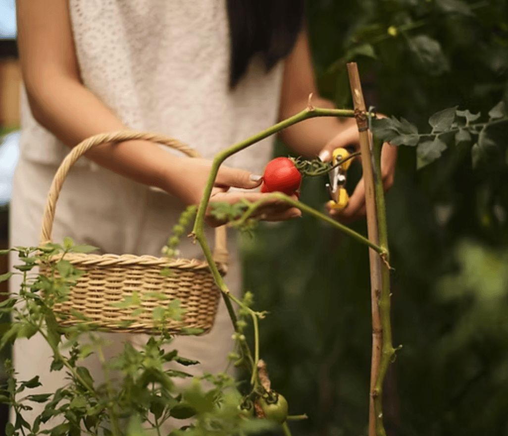 Ngramban Foraging and Wild Cooking Experience at Atsiri Jawa - Image 5