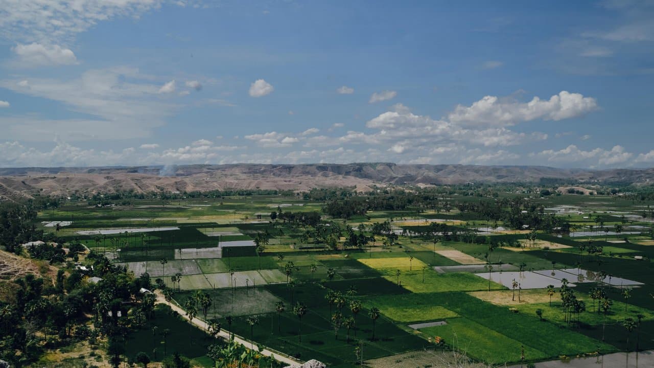 4D3N Discover West & East Sumba: Culture, Cliffs & Savannahs - Image 2