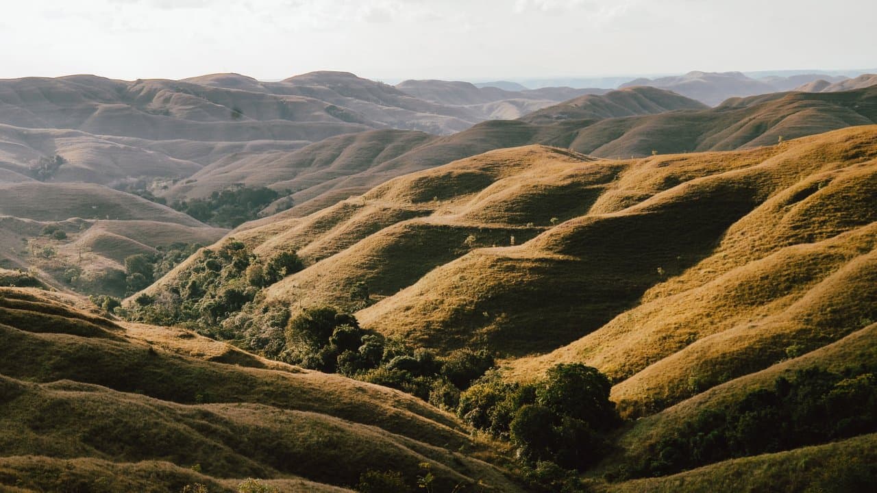 4D3N Discover West & East Sumba: Culture, Cliffs & Savannahs - Main image