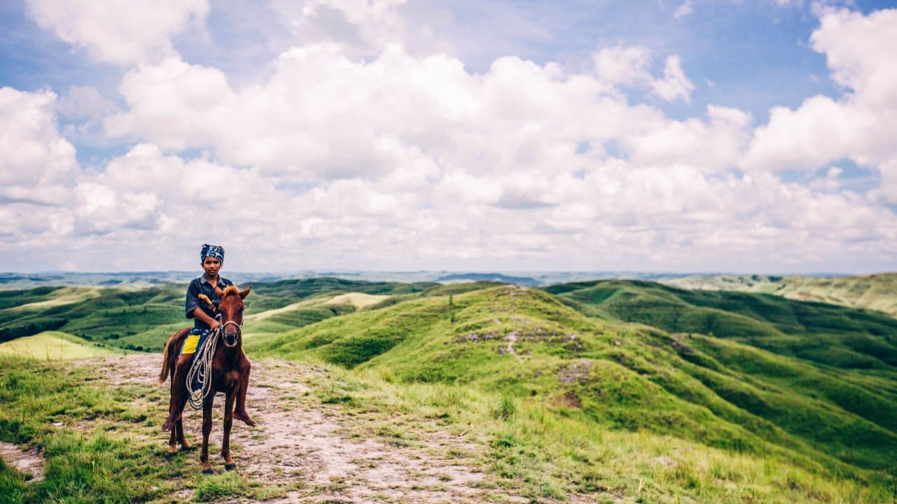 4D3N Discover West & East Sumba: Culture, Cliffs & Savannahs - Image 4