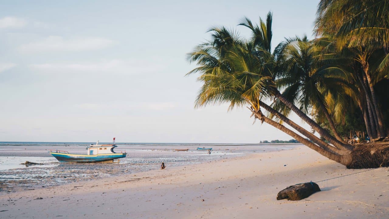 4D3N Discover West & East Sumba: Culture, Cliffs & Savannahs - Image 5