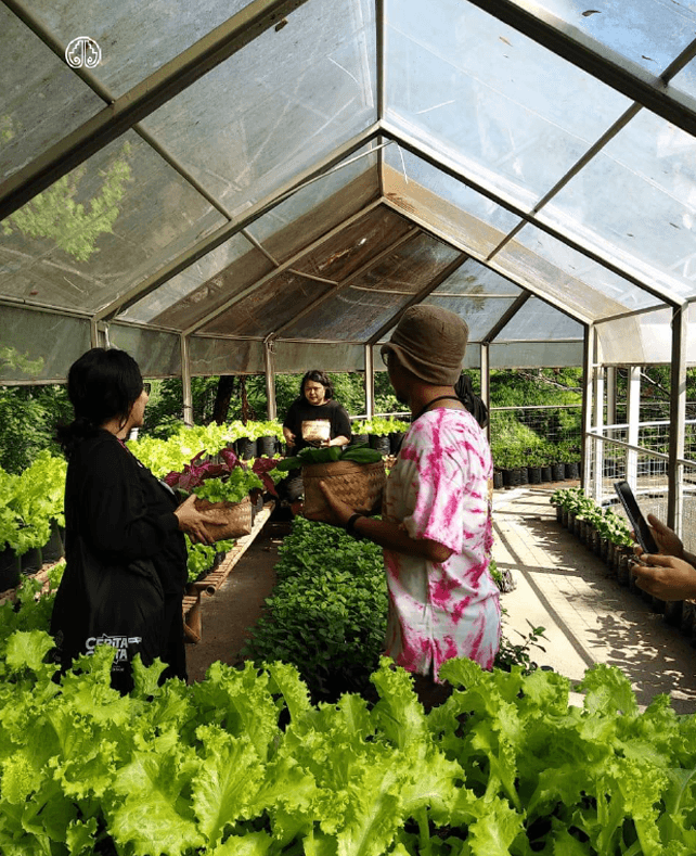 Nayakirna Farm to Table Culinary Wellness Experience at Atsiri Jawa - Image 3