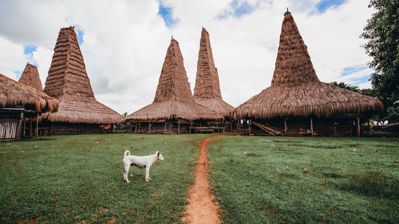 3D2N Discover Southwest Sumba: Culture, Coastlines & Highlands - Image 2