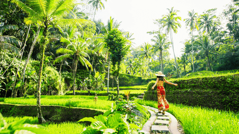Sacred Bali Journey: Besakih Temple, Kintamani & Tirta Empul - Image 3
