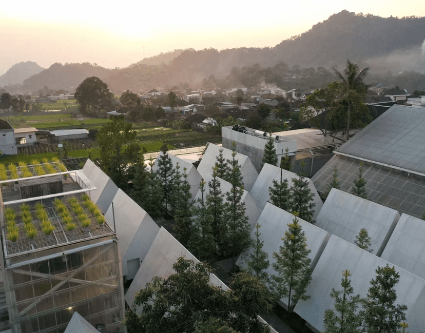 Sabuk Lawu: 3-Day Cultural & Wellness Retreat at Rumah Atsiri – Citronella Room - Image 5