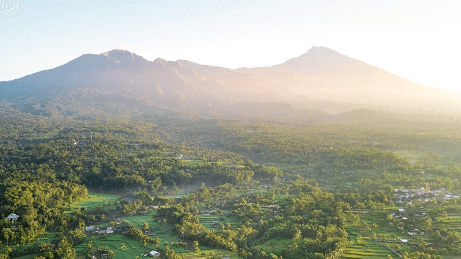 Tetebatu Private Trek: Rice Fields, Hidden Waterfall & Monkey Forest - Image 5