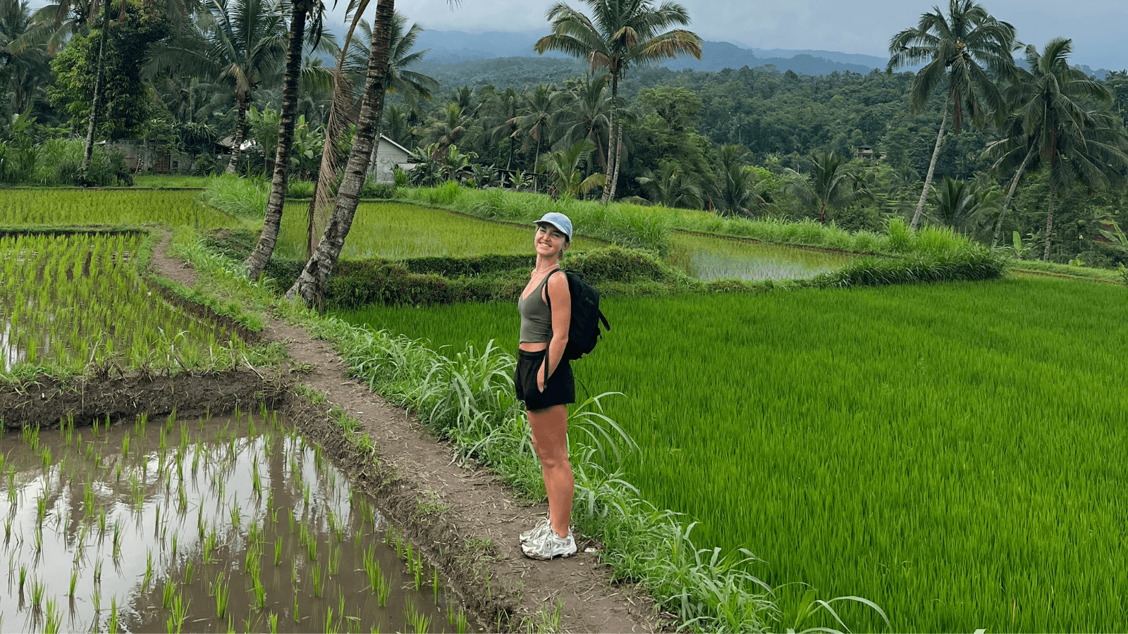 Tetebatu Private Trek: Rice Fields, Hidden Waterfall & Monkey Forest - Image 9