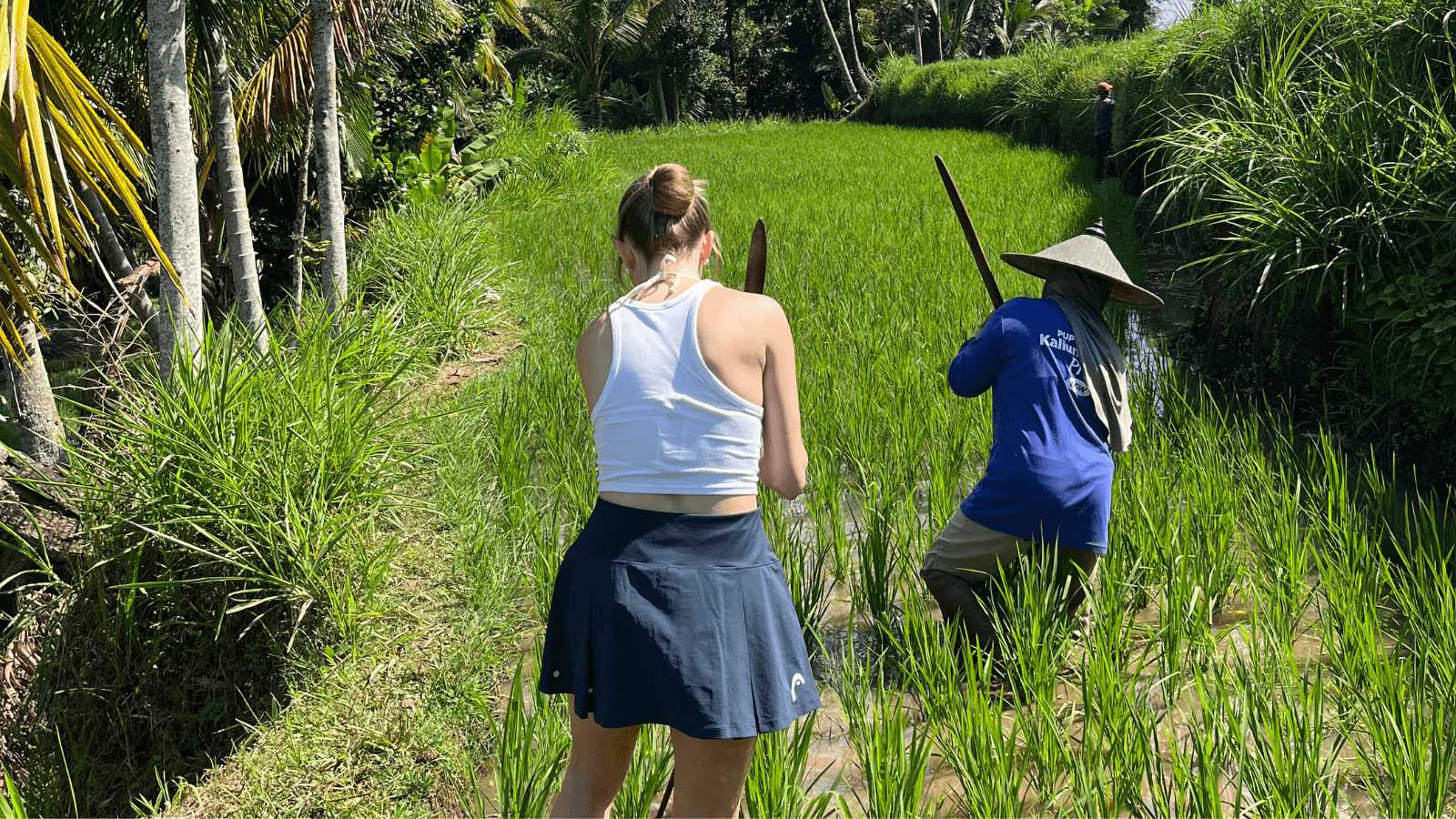 Tetebatu Private Trek: Rice Fields, Hidden Waterfall & Monkey Forest - Image 11