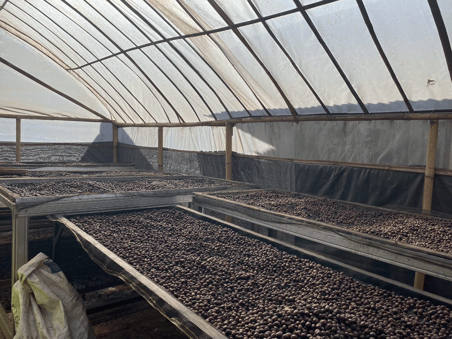 Tetebatu: Traditional Coffee & Coconut Oil Workshop - Image 3